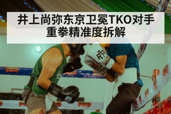 井上尚弥东京卫冕TKO对手 重拳精准度拆解