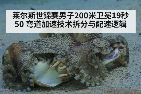 莱尔斯世锦赛男子200米卫冕19秒50 弯道加速技术拆分与配速逻辑